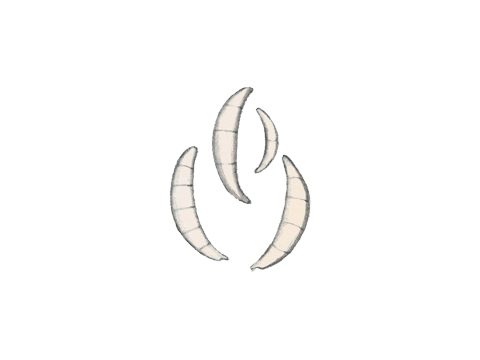 Туберкуляриевые - Fusarium culmorum (W.G. Sm.) Sacc. - фото