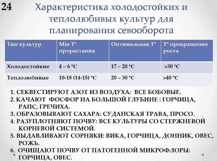 характеристики культур для плодосмена