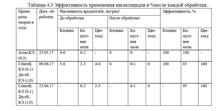 инсектициды на рапсе