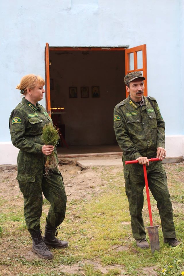 как посадить лес