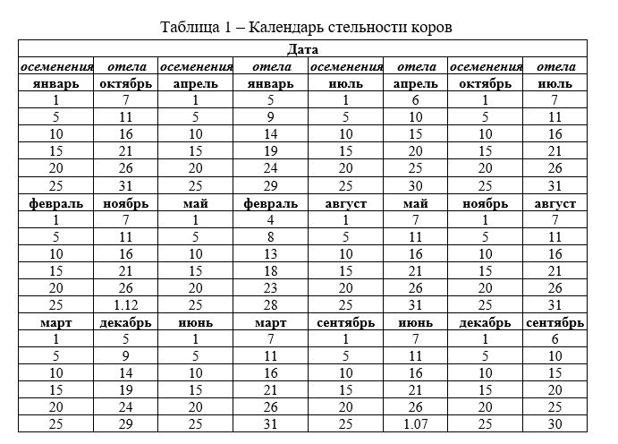 календарь стельности коров