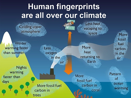 causes of global warming essay causes of global warming essay