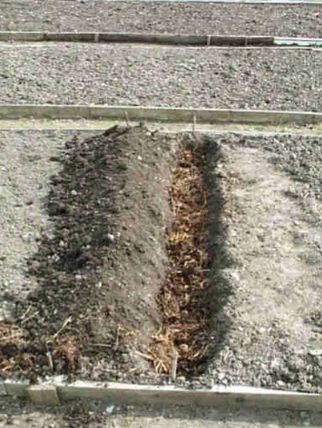компостирование в траншею