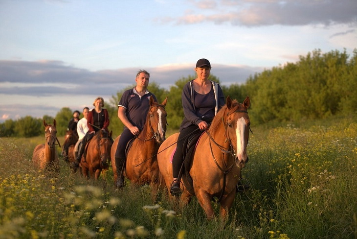 konnyi-turizm-donskie-loshadi.jpg