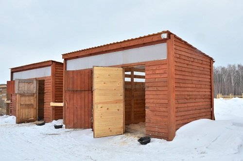 летник