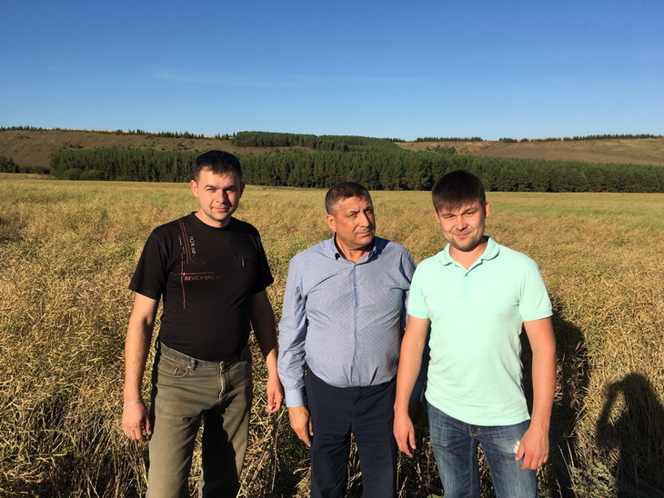 коллектив Листерра на поле рапса