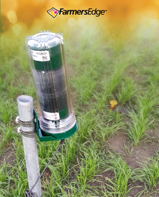 Почвенный датчик влажности Farmers Edge, установленный в поле