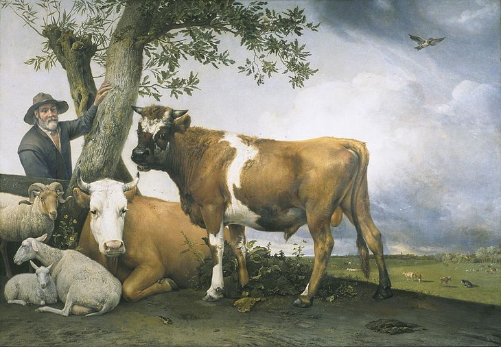 Молодой бык. 1647. Маурицхёйс. Гаага