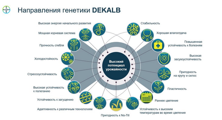 направления генетики декалб