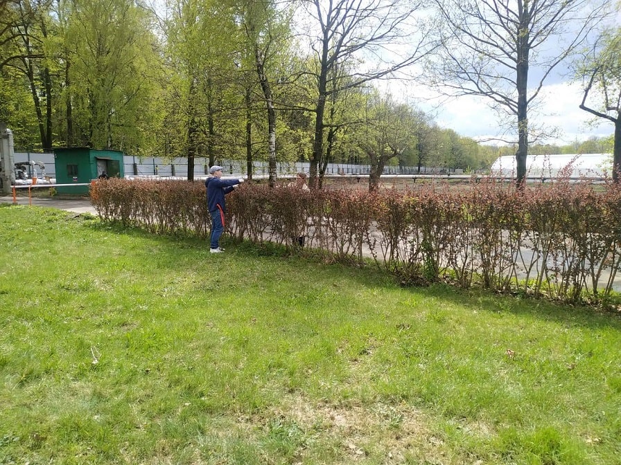 обрезка кустарников тимирязевка