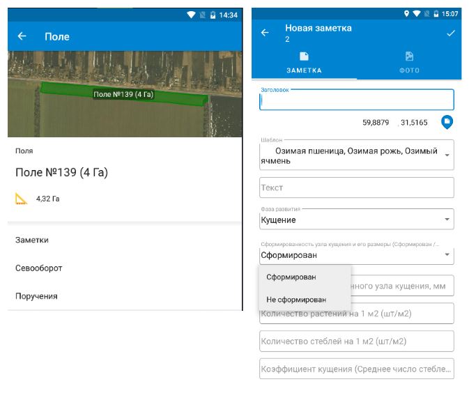 агрономическое обследование полей