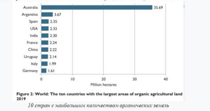 органик динамика