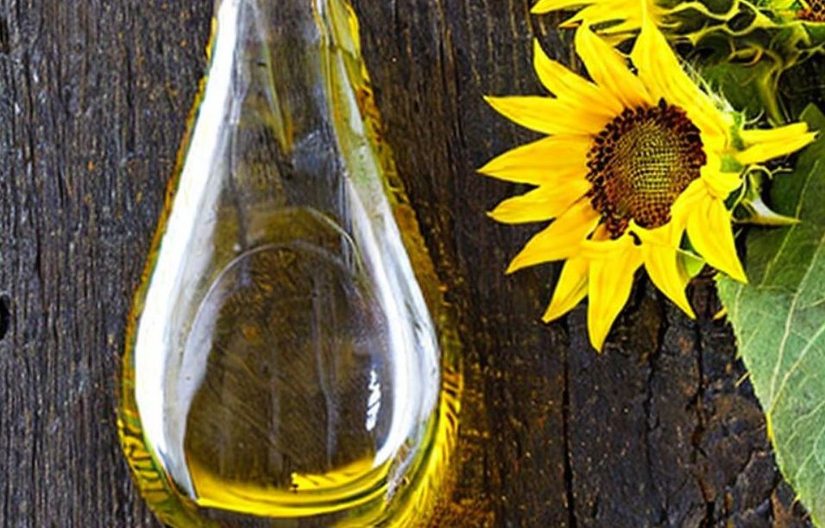 Состав растительного масла. Физико-химические показатели подсолнечного масла. Цитан уфа масла. Измерение кислотного числа в растительных масел. Биодизель.