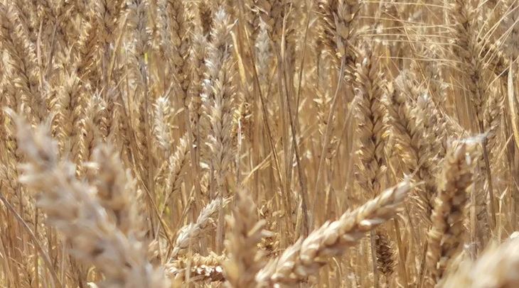 Будут ли фермеры покупать биопродукты для растений в 2023 году