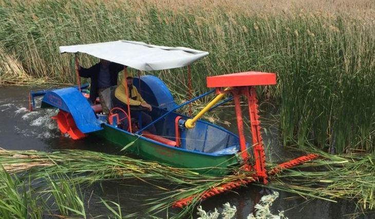 От водных растений российские водоемы очистили на площади в 10,6 тысяч гектаров