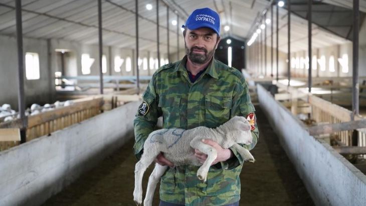 Овцы дагестанской горной породы проходят улучшение молочной продуктивности