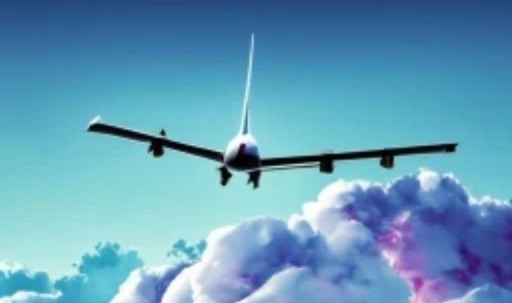 Из Парижа в Нью-Йорк летят 8800 свиней под видом биотоплива