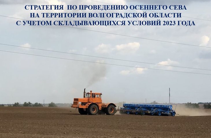 Сеять озимые под урожай 2024 в Волгоградской области будут по научной агрономической стратегии - фото