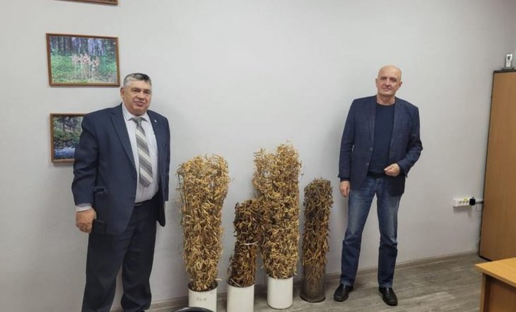 Новый холодоустойчивый сорт сои Баргузин будут сеять в Восточной Сибири в промышленных масштабах
