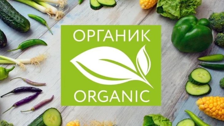 Топ российских регионов производителей органической продукции на начало 2024