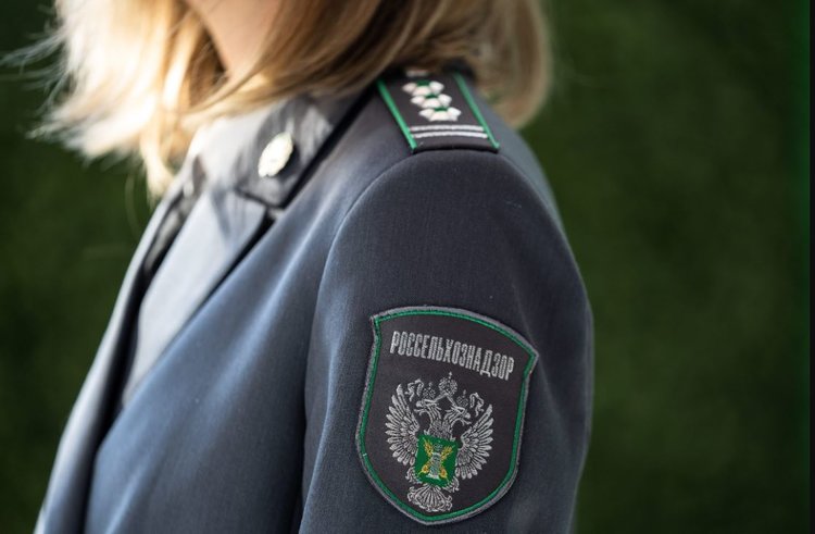 Нашествие трипсов в праздничных розах транзитом из ЕС намерен остановить Россельхознадзор