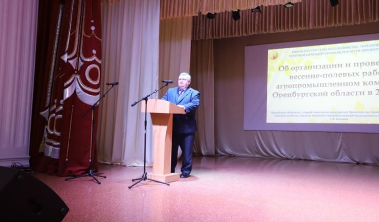 С большим отрывом лидируют семена отечественных гибридов кукурузы в Оренбургской области к посевной 2024
