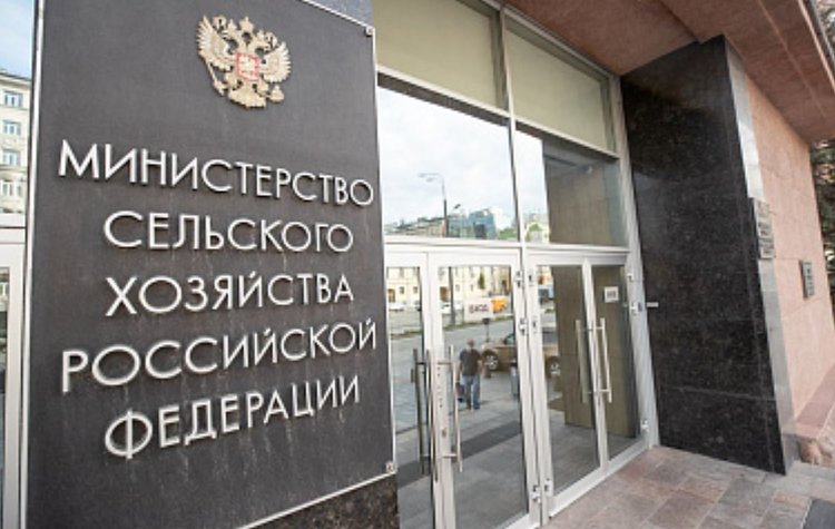 Создание отечественной вакцины против АЧС в обсудили в Минсельхозе РФ