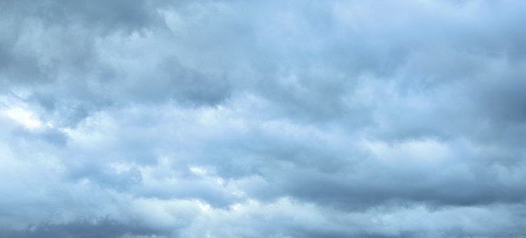Сахалинским аграриям посоветовали приобрести метеостанции для применения средств защиты растений