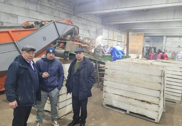 За картофельной технологией в 300 центнеров с га специалисты из Бурятии приехали в Иркутскую область