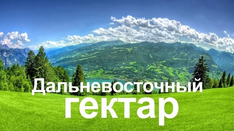 Свыше 13,7 тысячи человек стали владельцами дальневосточного гектара в Хабаровском крае