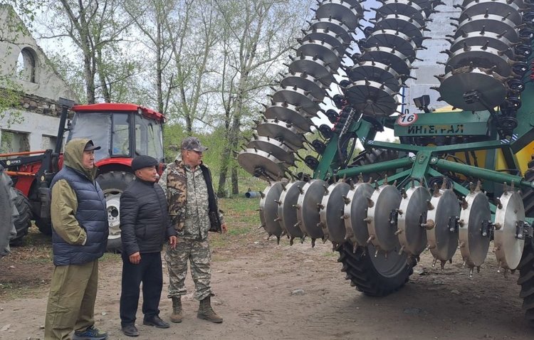 Выращивание рапса в Тыве привлечет агроинвесторов в республику