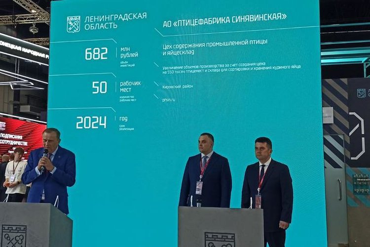 Ленобласть увеличивает производство яиц с расширением крупнейшей в Европе птицефабрики
