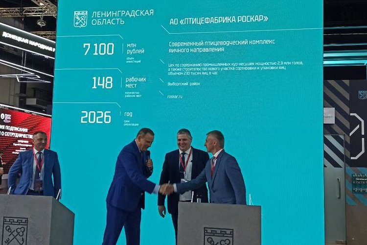 Мега-яйца: на ПМЭФ-2024 Ленобласть подписывает важные соглашения в птицеводстве