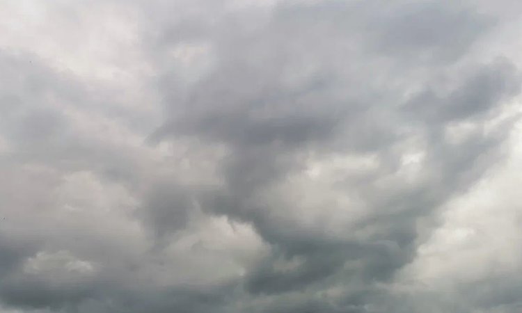 Дополнительное финансирование против градобоя во время уборочной выделят аграриям Ставрополья