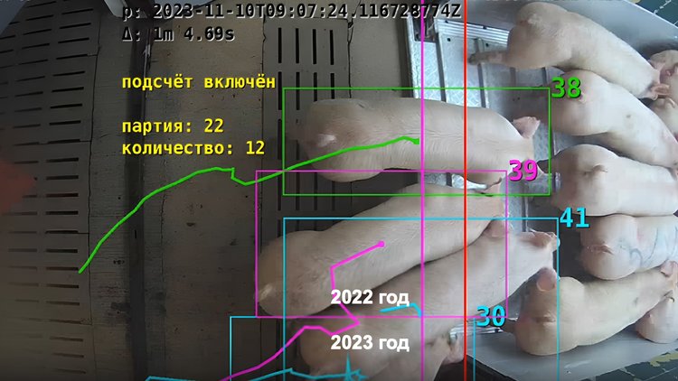 Когда ходы просчитаны: умное видеонаблюдение в животноводстве