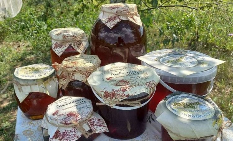 Орловский пчеловод на грантовые средства увеличит выпуск меда до 9,7 тонн в год