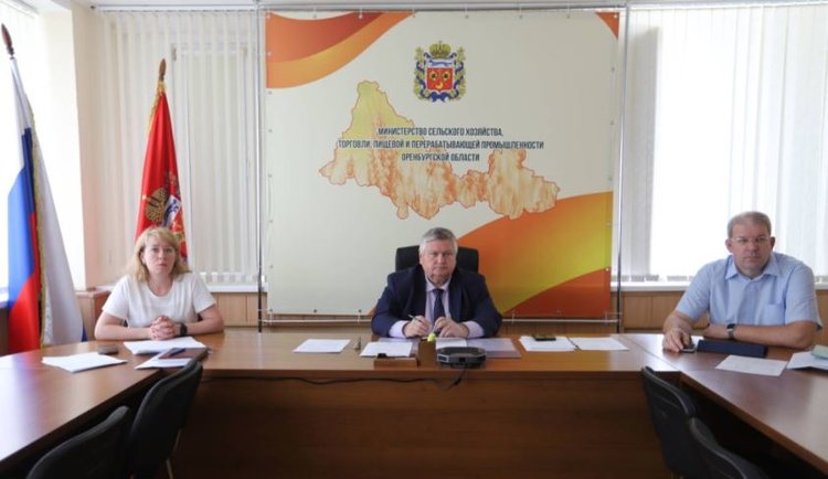 В посевной структуре 2024 в Оренбургской области представлены высокомаржинальные культуры