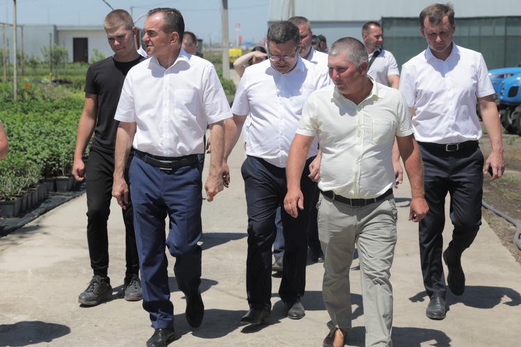 Качество кубанских саженцев проинспектировал глава региона