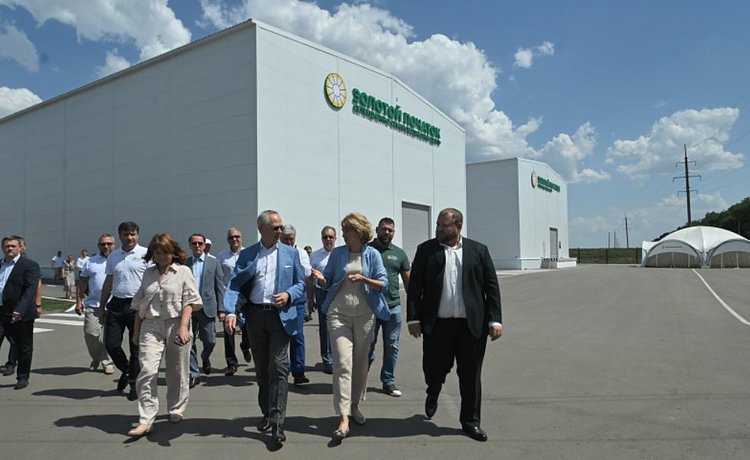 Воронежская область похвалилась «Золотым початком» и другими передовыми производствами перед Минсельхозом и Госдумой