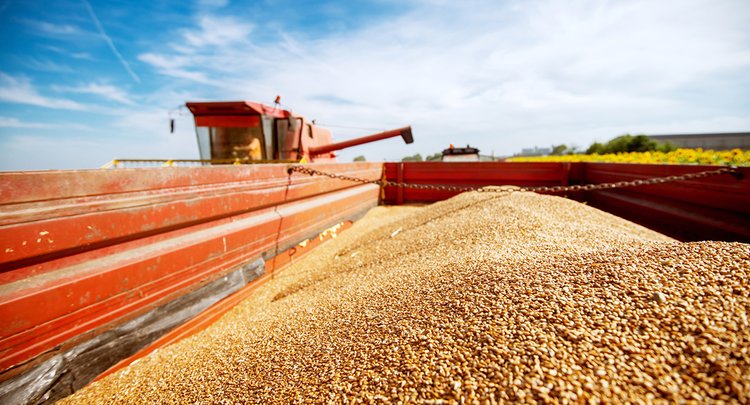 Россия наращивает экспорт продуктов переработки зерна на мировые рынки