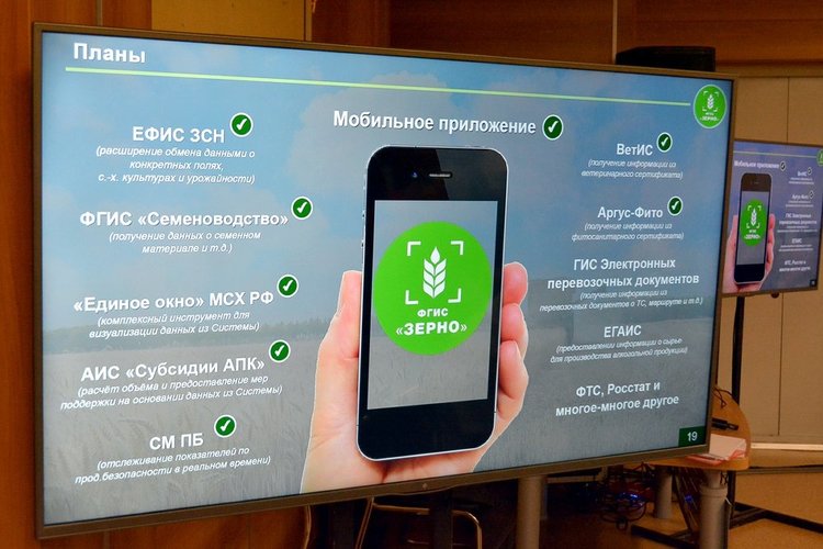 ФГИС «Семеноводство»: полная информация о системе и важные комментарии