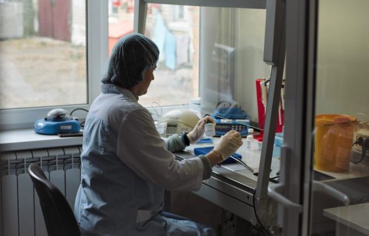 Почему в ячмене нового урожая завелся рисовый долгоносик