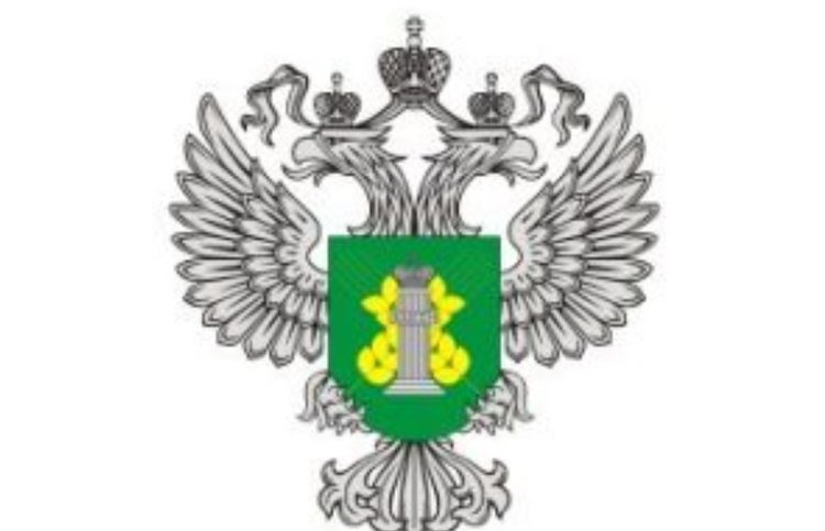 В Хабаровском крае Россельхознадзором введен карантин по соевой нематоде