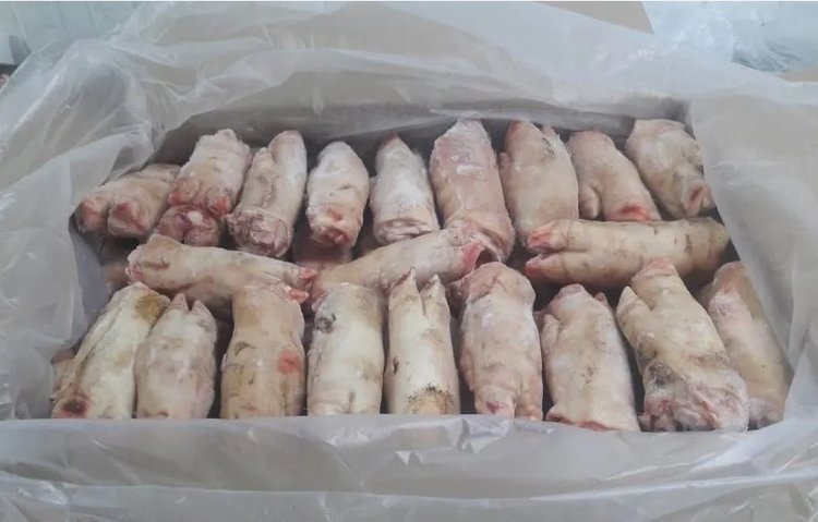 Рост экспортных поставок российских свиных субпродуктов на рынки Юго-Восточной Азии