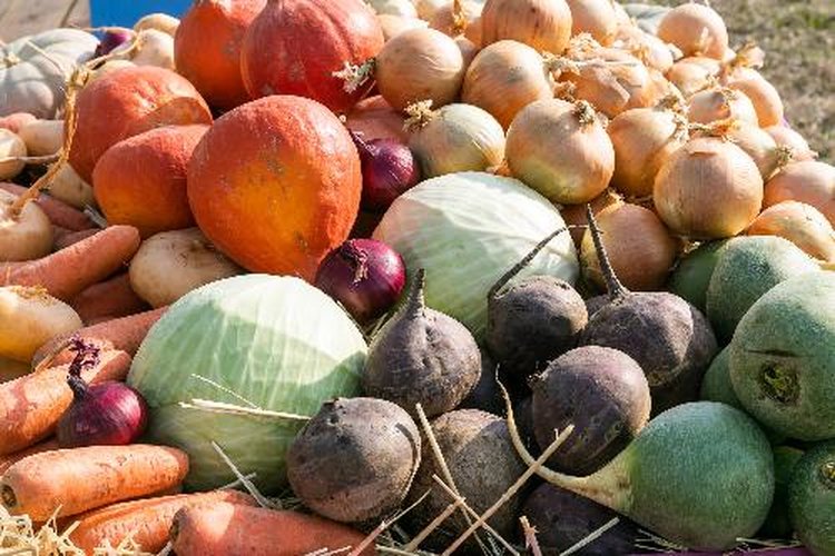 Новый агрегатор фермерской сельхозпродукции для торговых сетей появился в Волгоградской области 