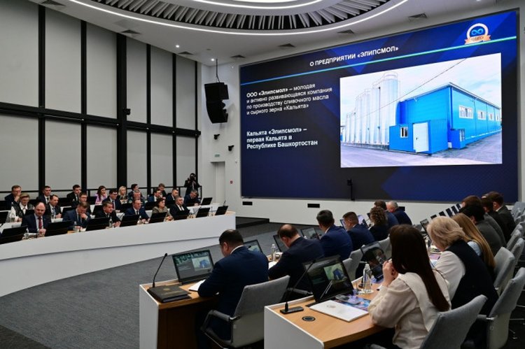 Два инвестпроекта стоимостью 1,5 млрд рублей реализует Элипсмол в Башкортостане