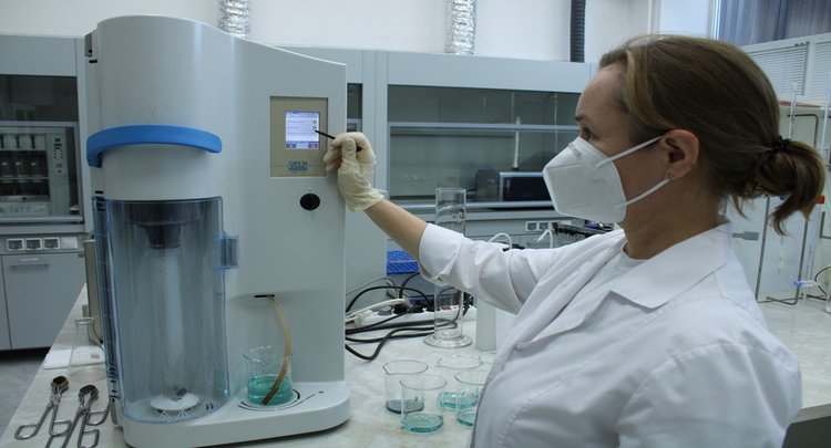 В Оренбургской области завершен госмониторинг пшеницы 2024: итоги