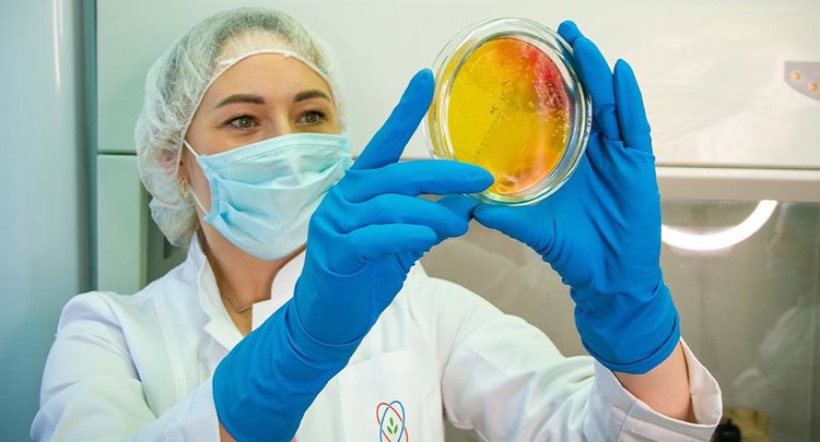 Госмониторинг пшеницы и экспорт зерна: итоги 2024