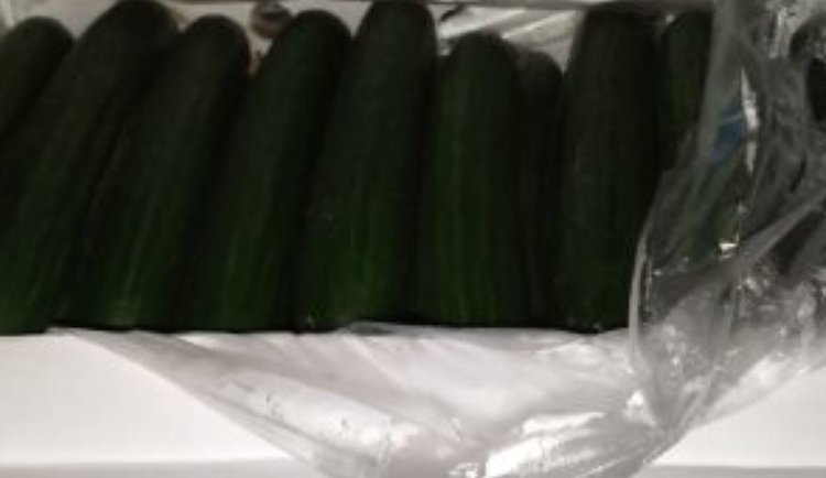 Рождественские огурцы из Казахстана вернули отправителю