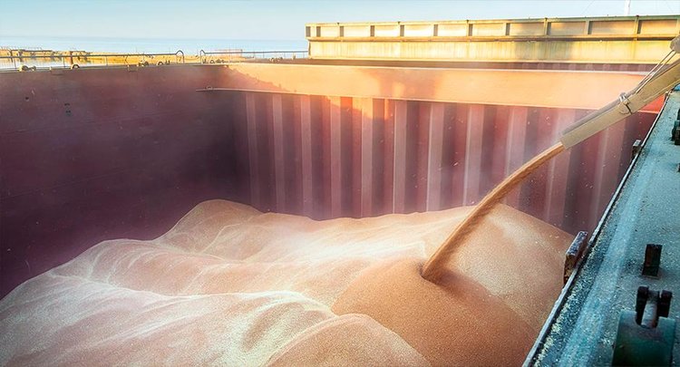 По итогам 2024 года Китай стал абсолютным лидером закупкам растительной продукции из Алтайского края